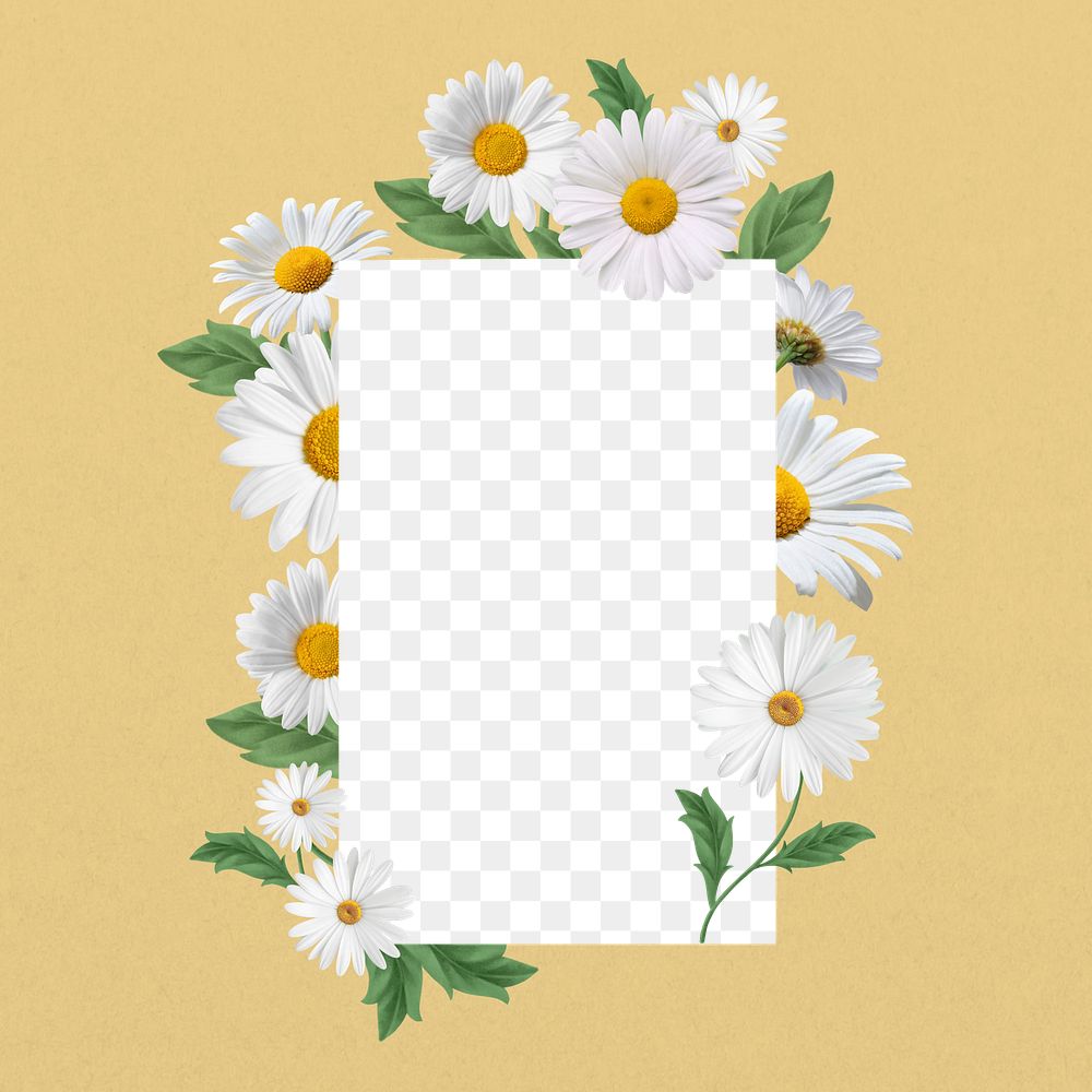 White daisy flower png frame, aesthetic botanical collage, transparent design