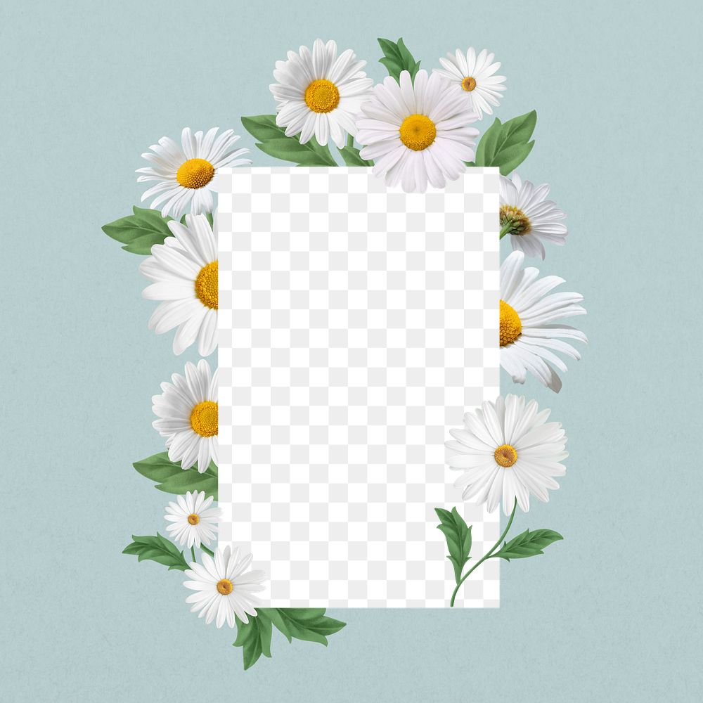 White daisy flower png frame, aesthetic botanical collage, transparent design