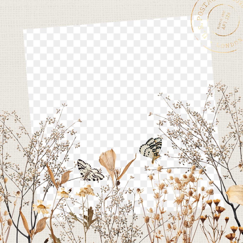 Autumn aesthetic png frame, leaf branch and butterfly collage, transparent design