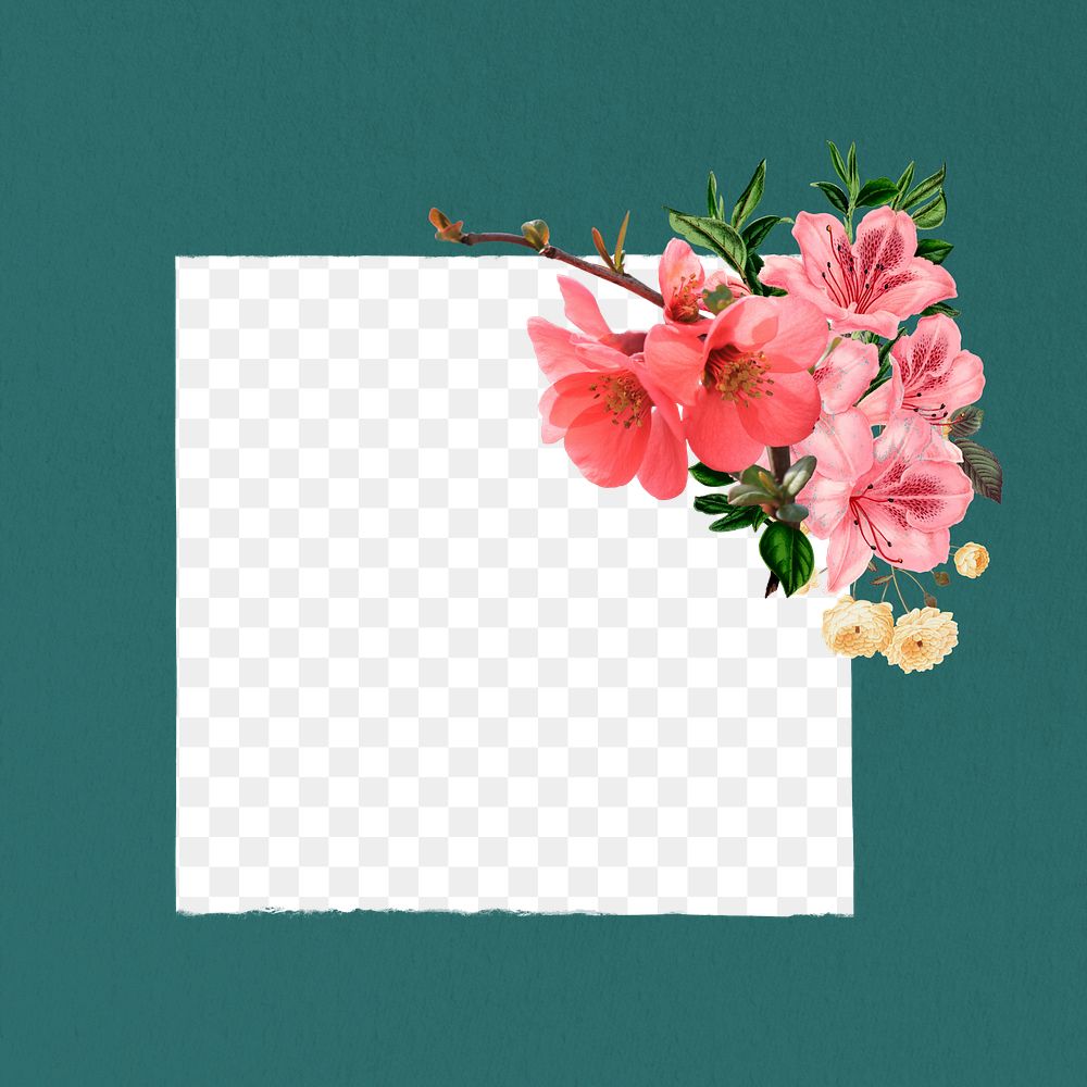 Note paper png frame, cherry blossom flowers collage, transparent design