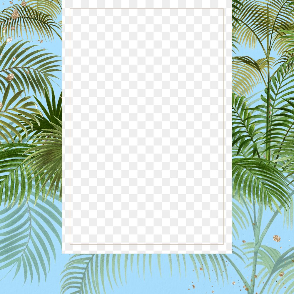 Tropical palm trees png frame, transparent design