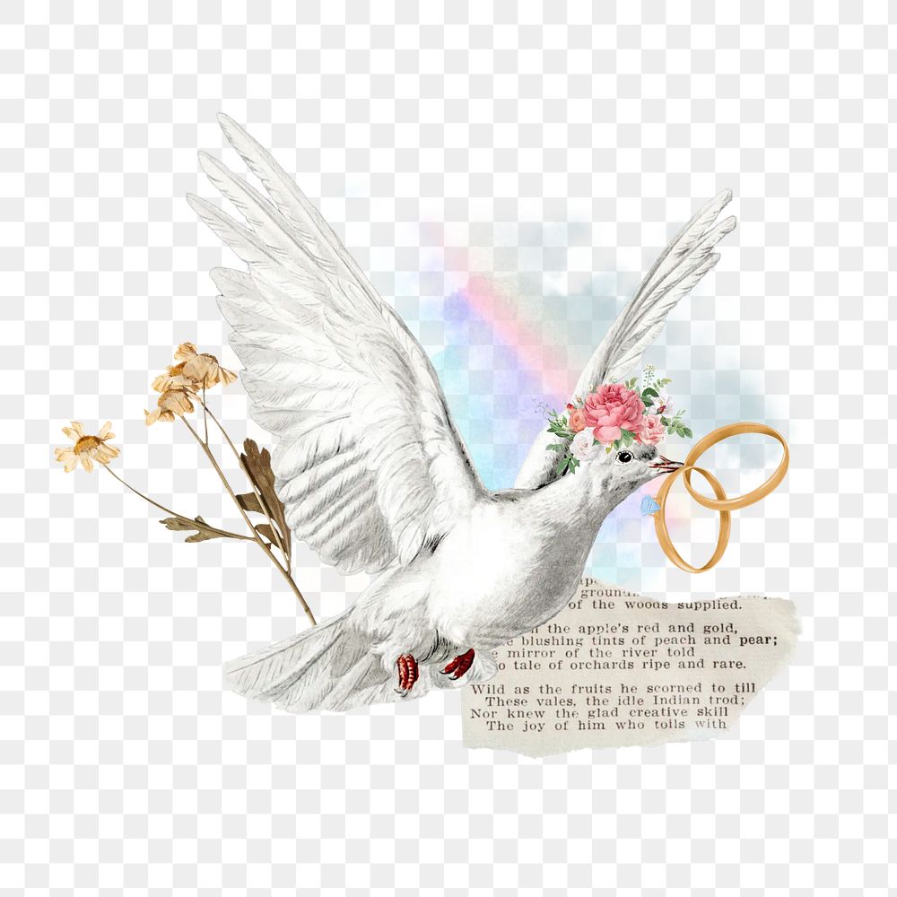 Wedding rings png, flying dove aesthetic collage, transparent background. Remixed by rawpixel.