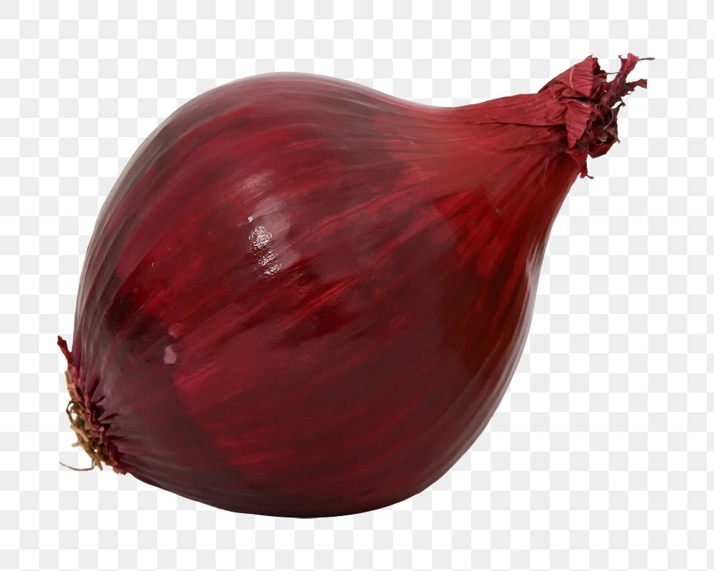 PNG onion, collage element, transparent background