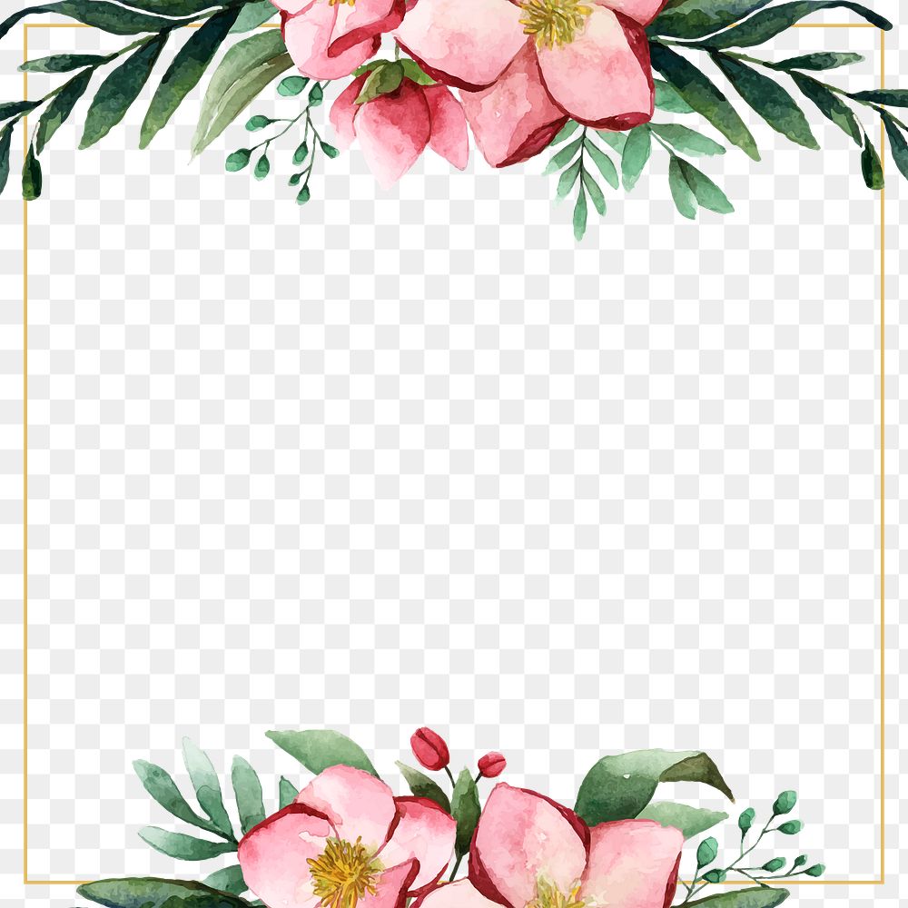 Watercolor flower png frame, transparent background
