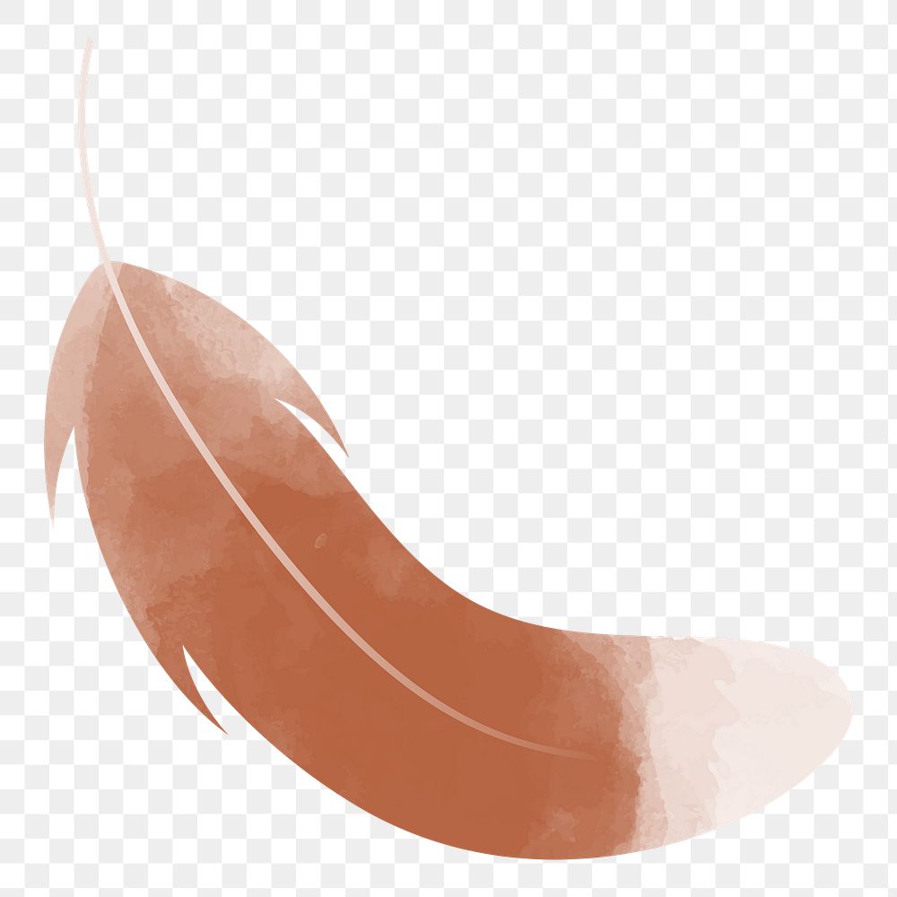 Feather png illustration, transparent background