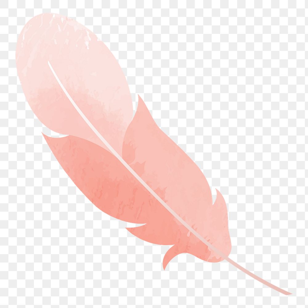 Feather png illustration, transparent background