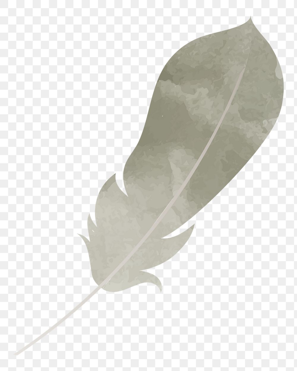 Feather png illustration, transparent background