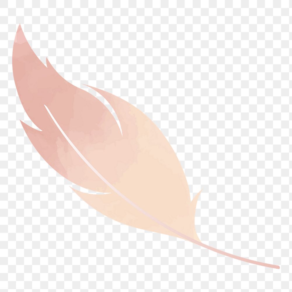 Feather png illustration, transparent background