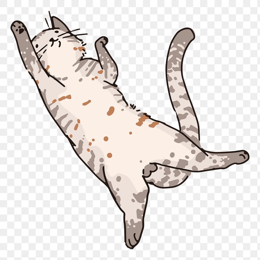 Png cat belly flop doodle sticker, transparent background