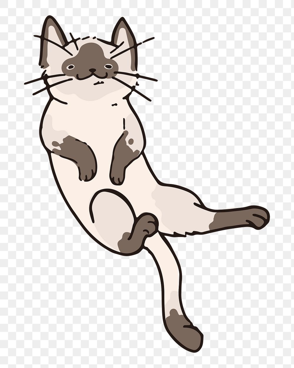 Png adorable cat doodle sticker, transparent background