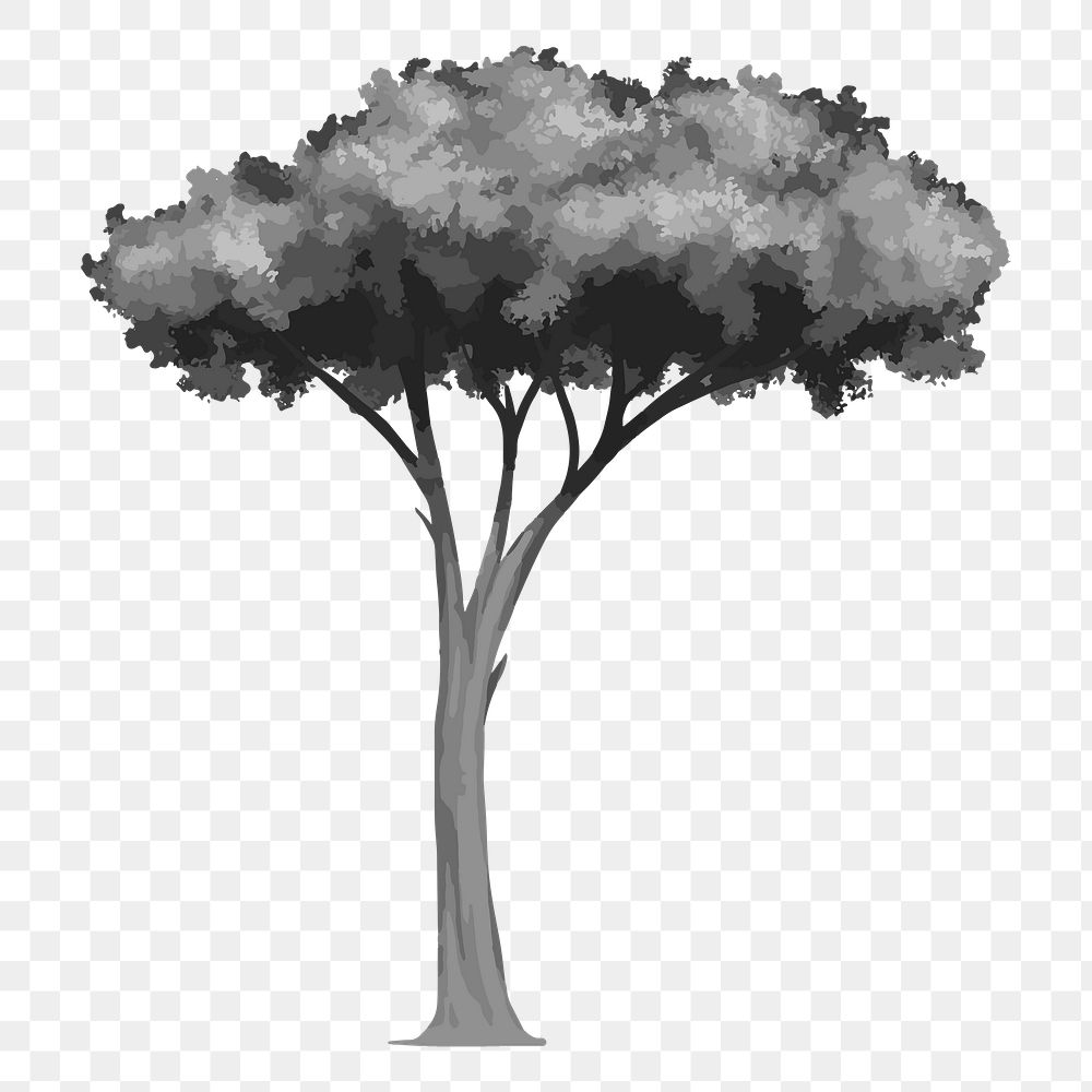 Png monotone umbrella pine tree illustration, transparent background