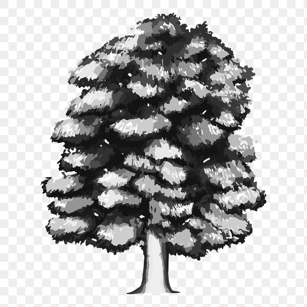 Png black and white walnut tree illustration, transparent background