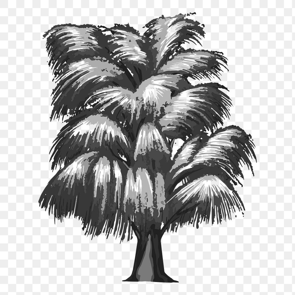 Png monochrome tree illustration, transparent background