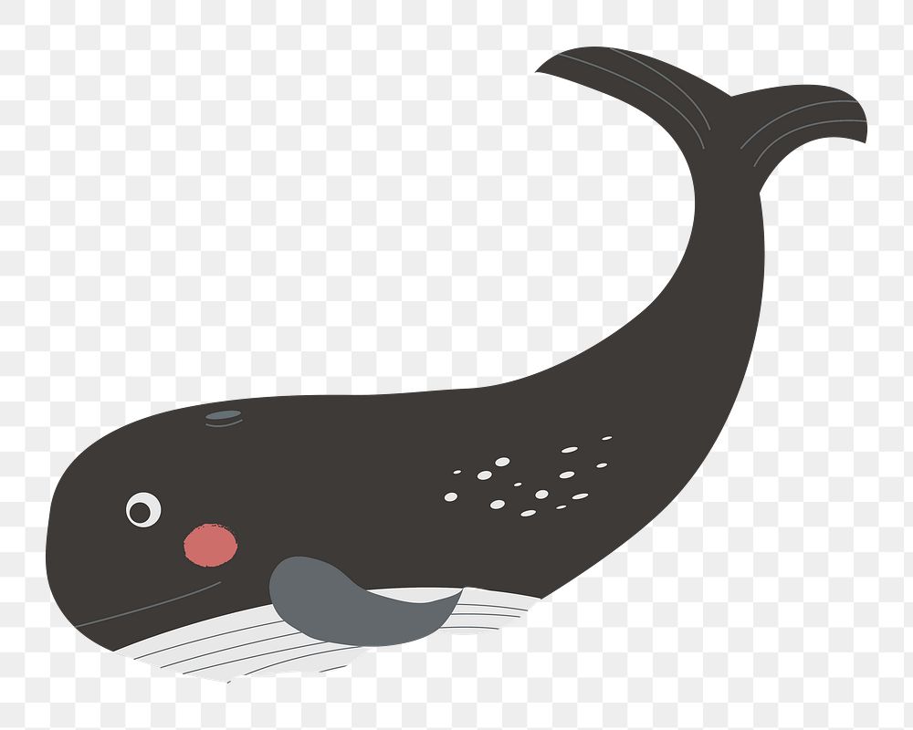Whale png illustration, transparent background
