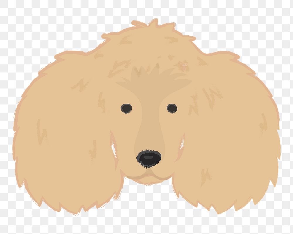 Png poodle dog hand drawn sticker, transparent background