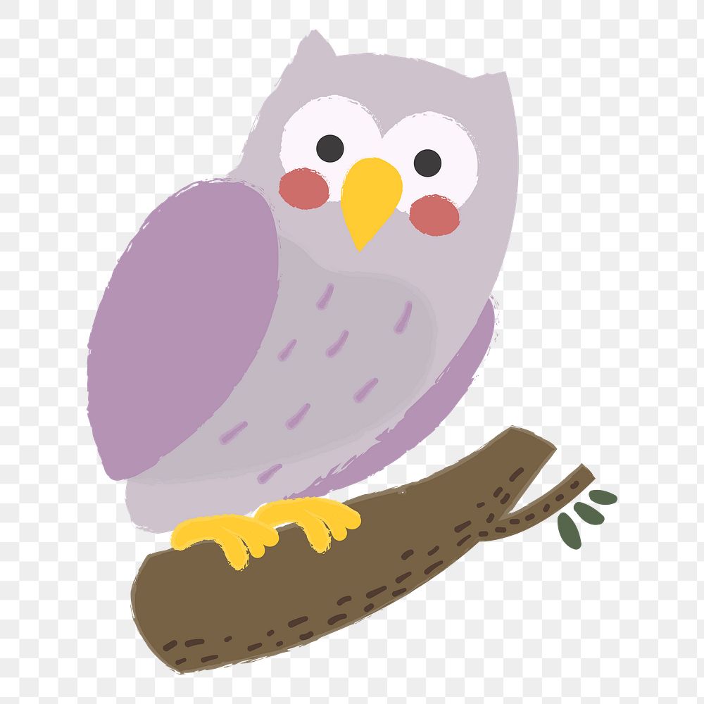 Owl png illustration, transparent background