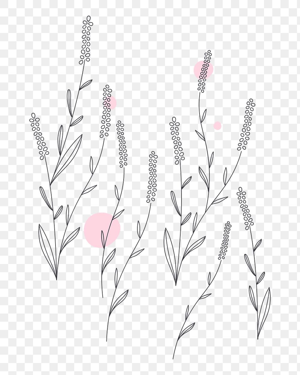 Png cute lavender design element, transparent background