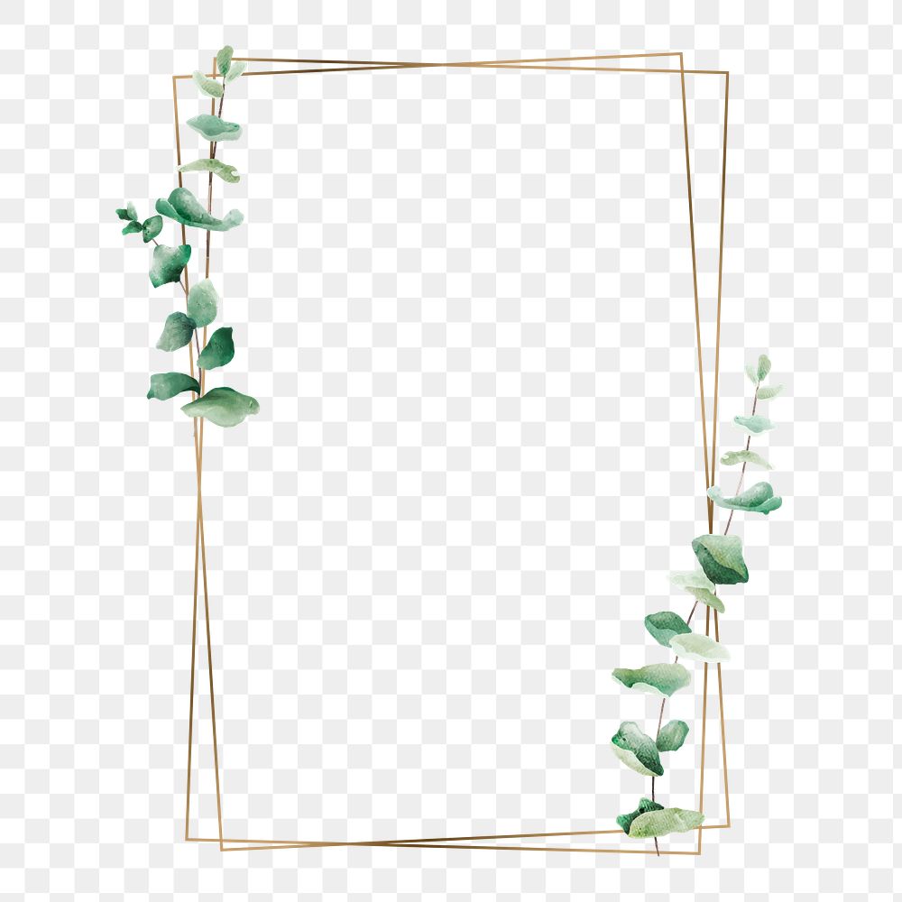 Aesthetic leaf png frame, transparent background