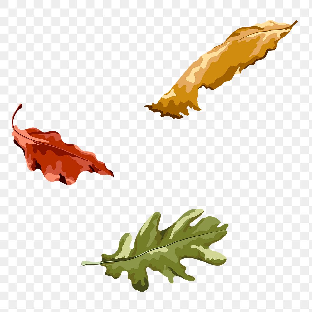 Png autumn leaves sticker, transparent background