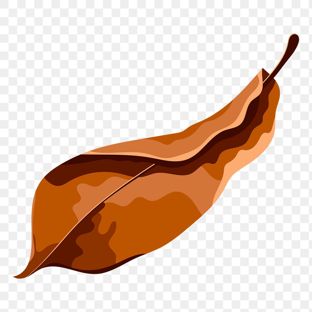 Png autumn leaf sticker, transparent background