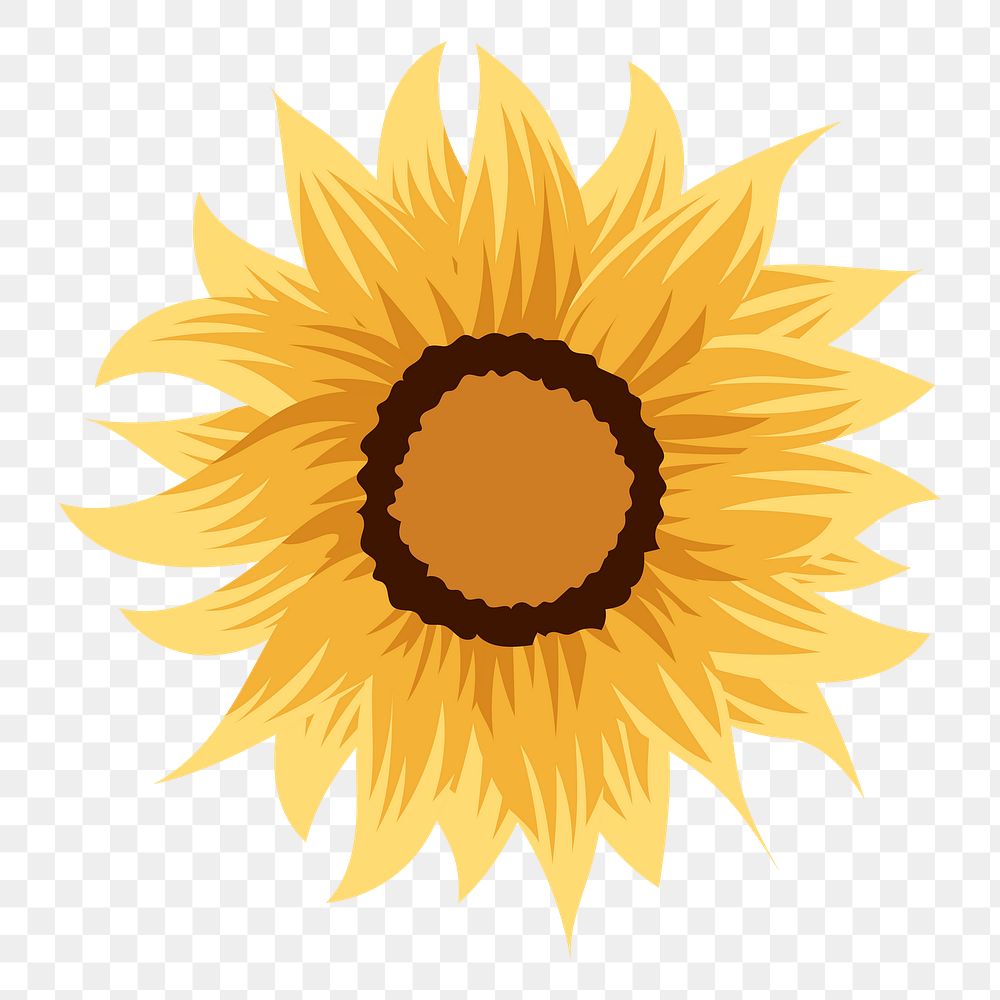 Png sunflower sticker, transparent background