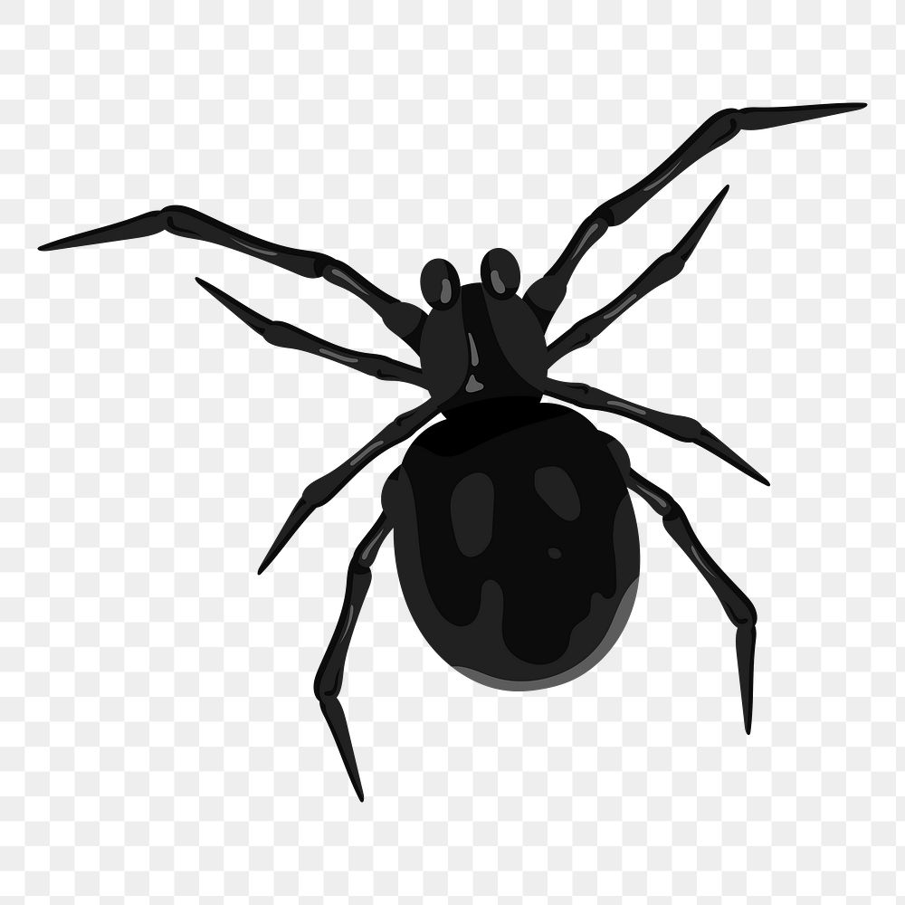 Png black spider sticker, transparent background