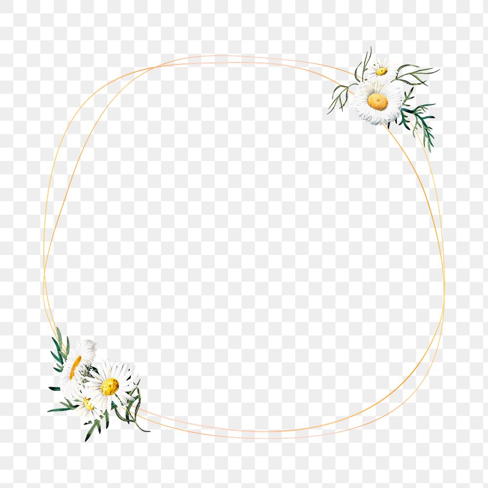 Flower png frame, transparent background