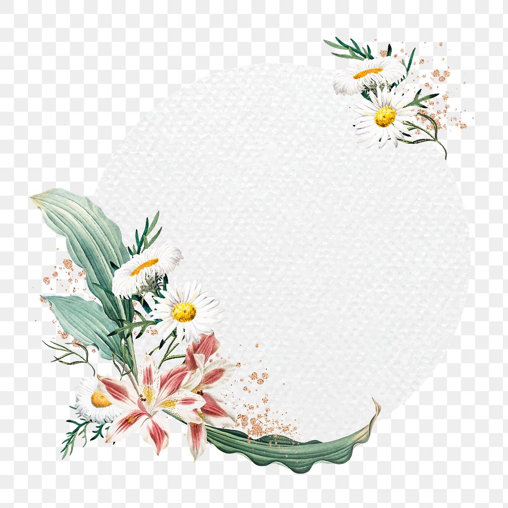 Flower png frame, transparent background