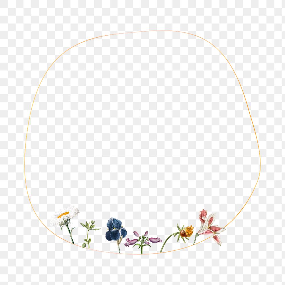 Flower png frame, transparent background