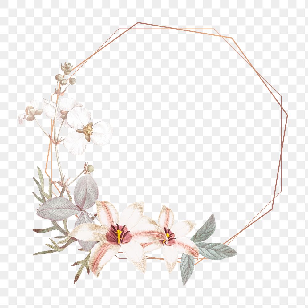 Flower png frame, transparent background