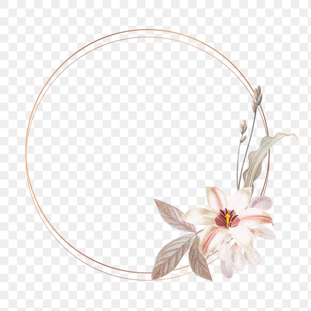 Flower png frame, transparent background | Premium PNG - rawpixel