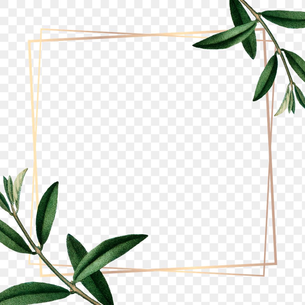 Leaf png frame, transparent background