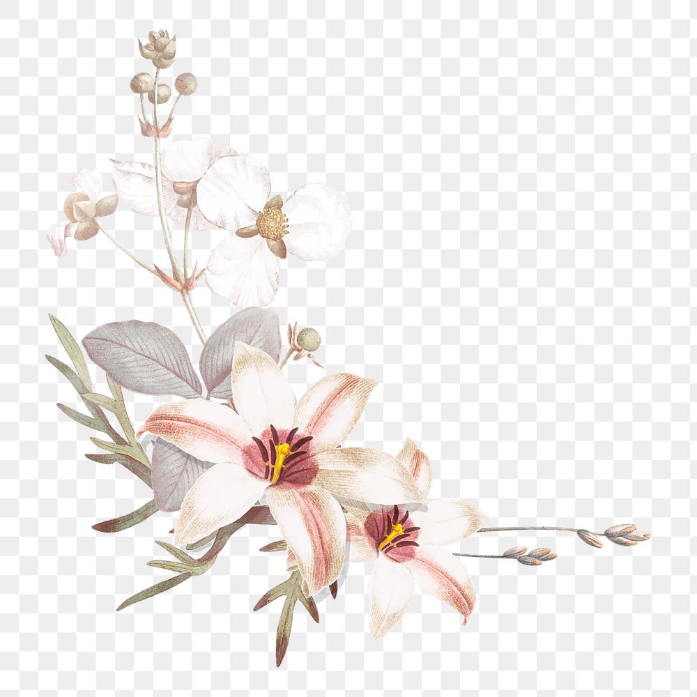 Flower png border, transparent background