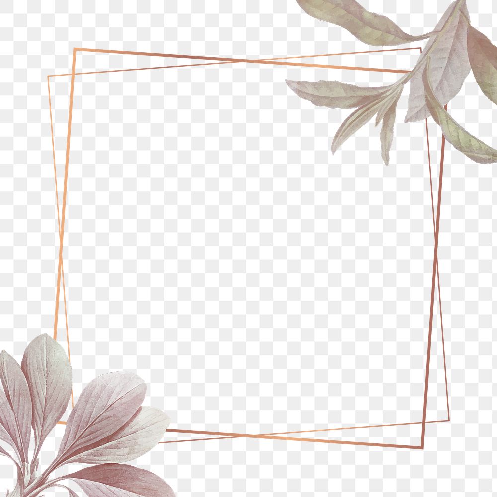 Leaf png frame, transparent background