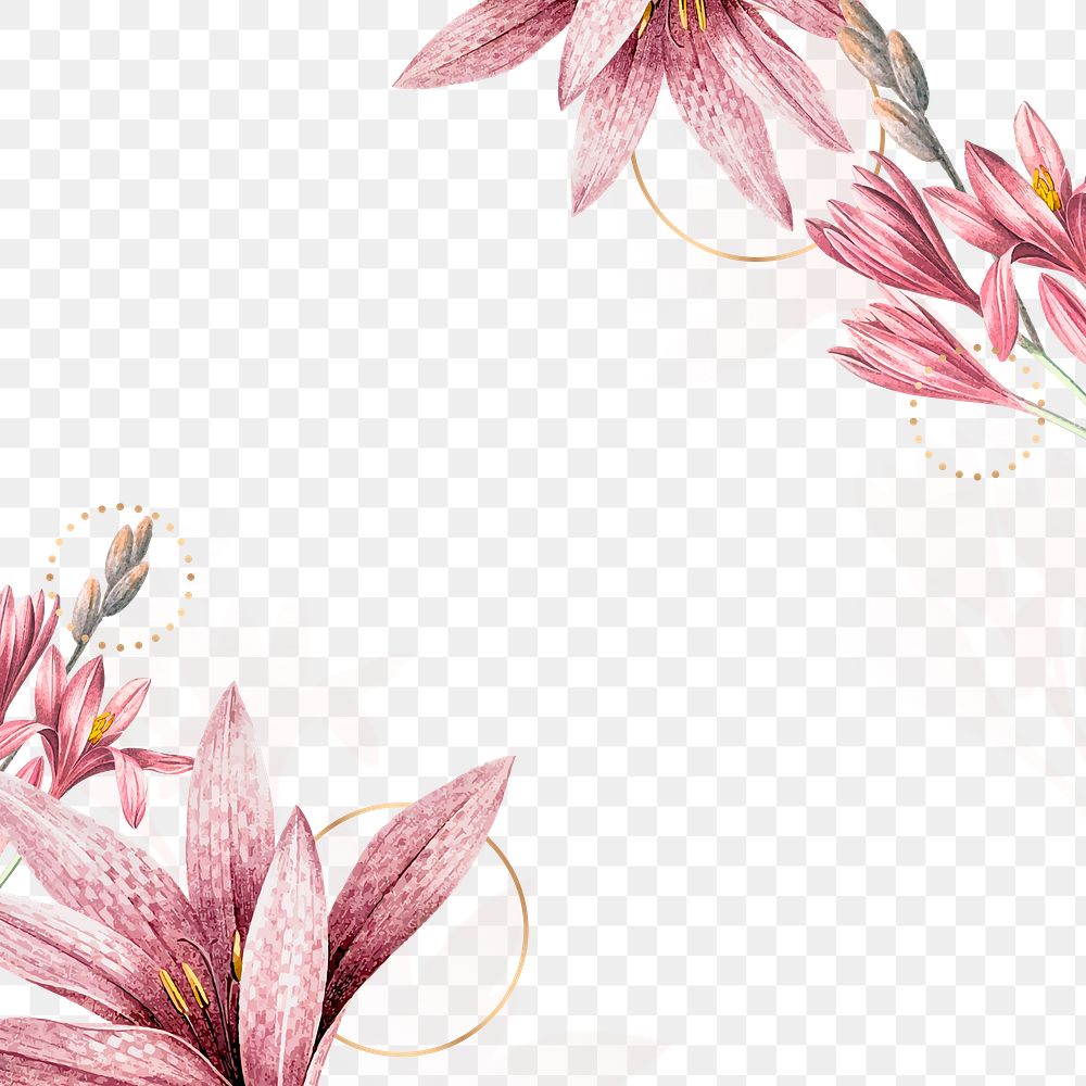 Flower png border, transparent background