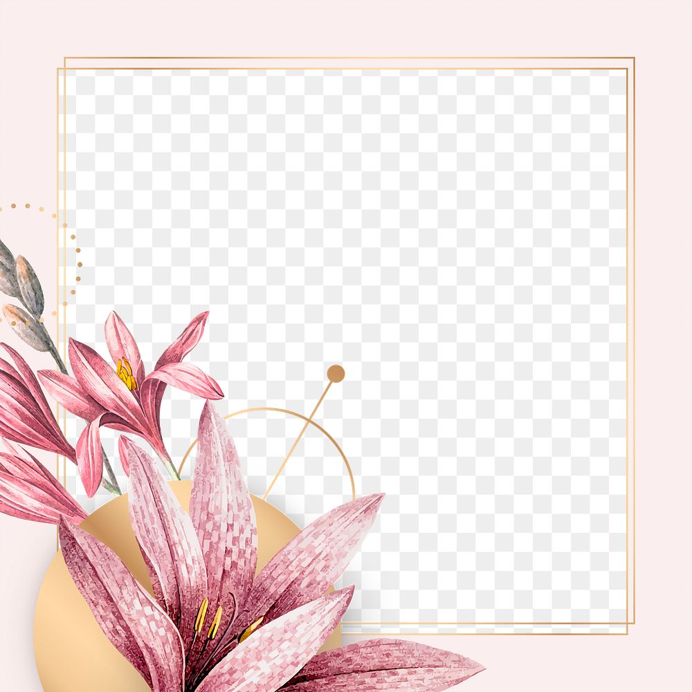 Flower png frame, transparent background