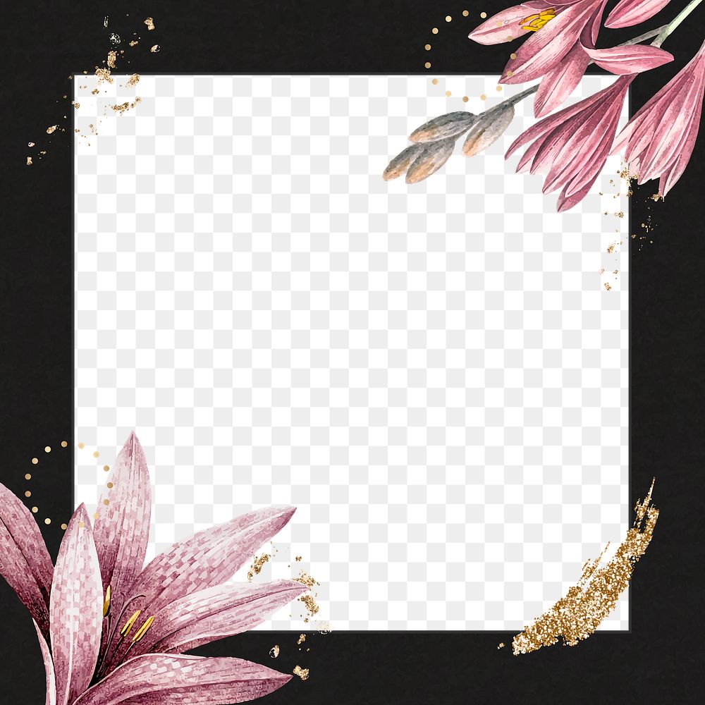 Flower png frame, transparent background