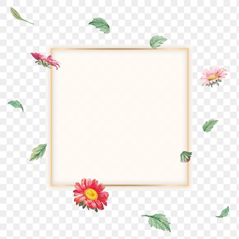 Png cute flower frame, transparent background