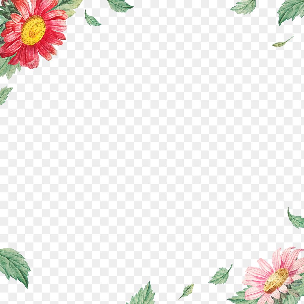 Flower png border, transparent background