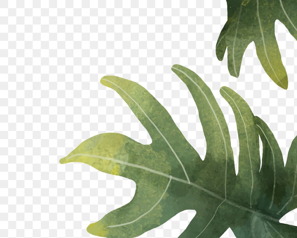 Leaf png border, transparent background