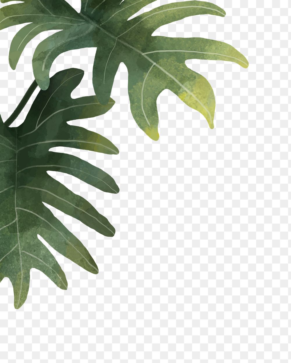 Leaf png border, transparent background