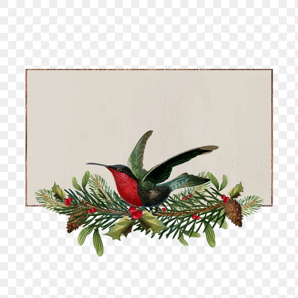 Png Christmas design frame, transparent background