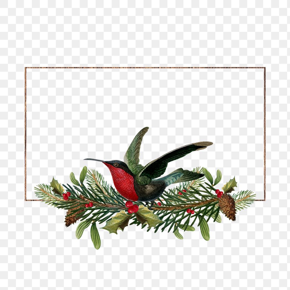 Png Christmas design frame, transparent background