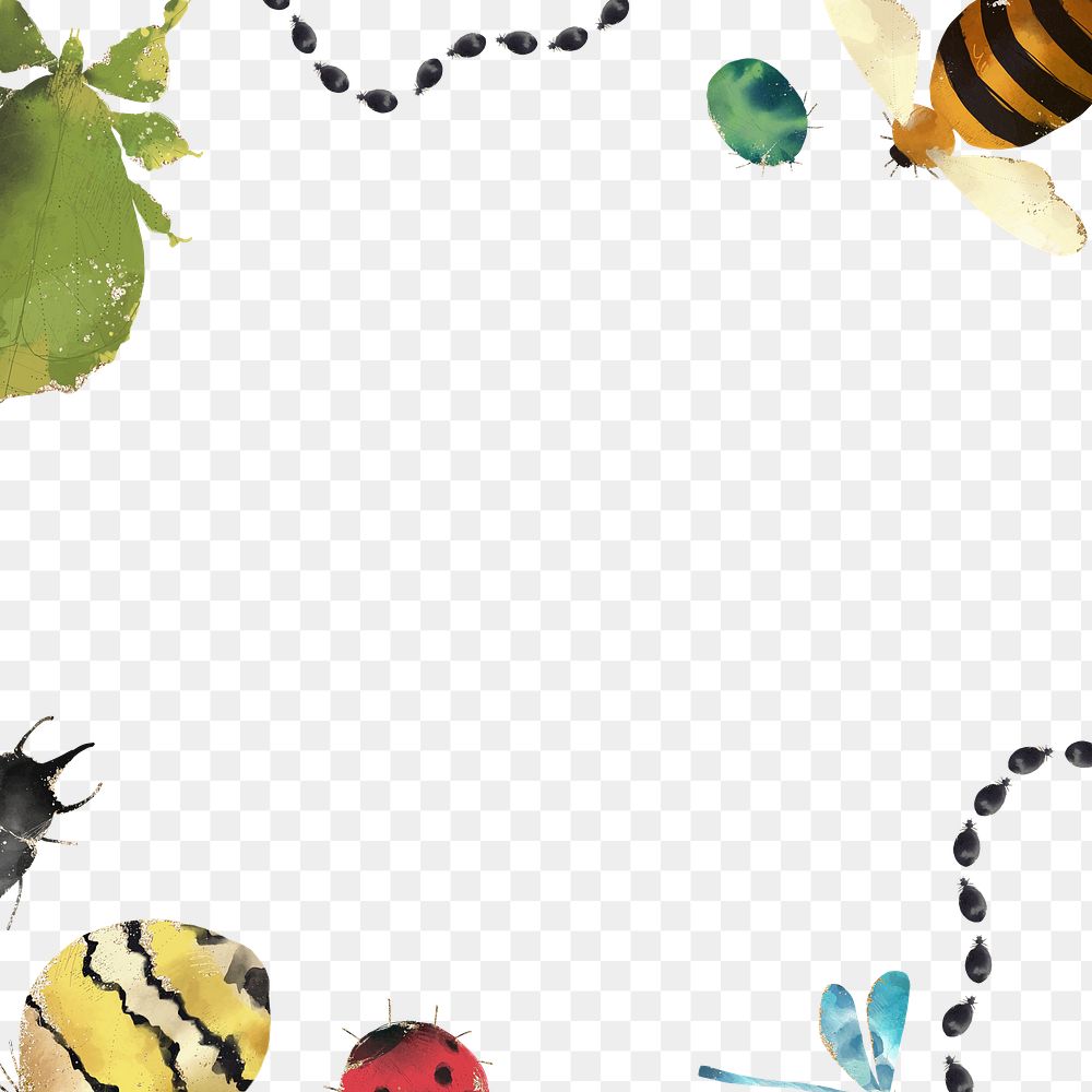 Insects png border, transparent background