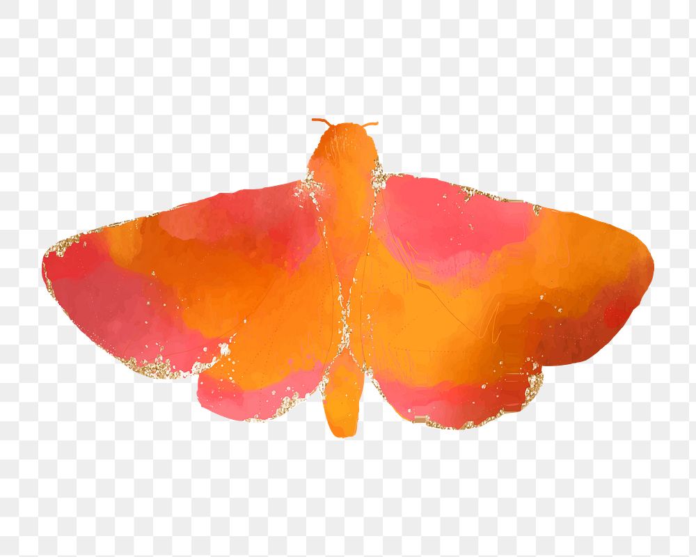 Watercolor moth png, transparent background