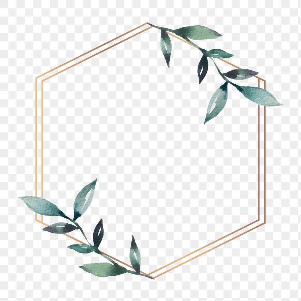 Hexagon png frame, transparent background