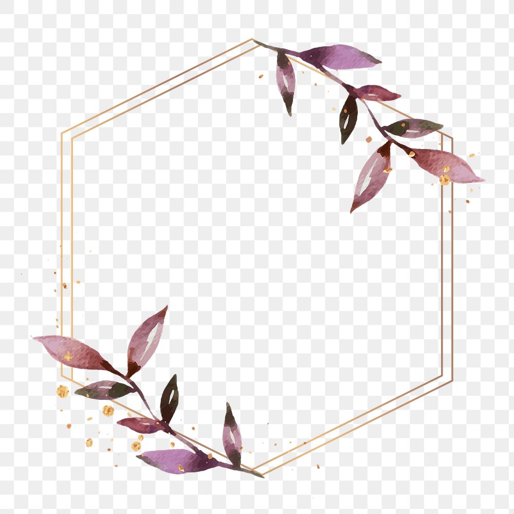Hexagon png frame, transparent background