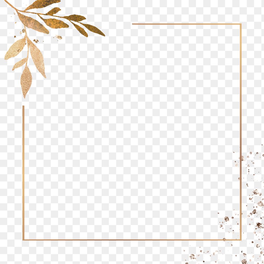 Leaf png frame, transparent background