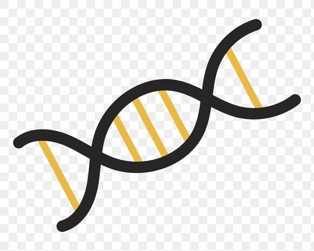  DNA double helix png illustration, transparent background