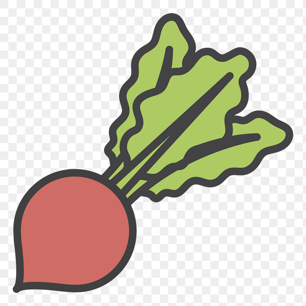 PNG radish illustration sticker, transparent background